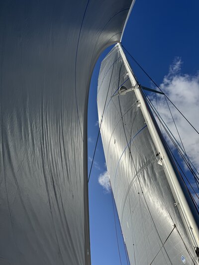 Outremer 5X catamaran rental ADDICTION twin cabin interior